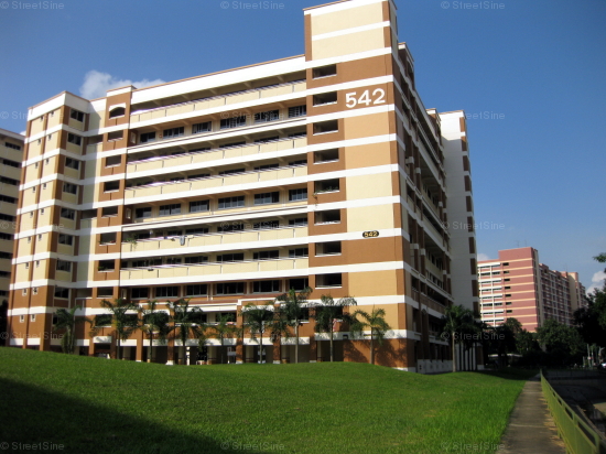 Blk 542 Hougang Avenue 8 (Hougang), HDB 5 Rooms #244492